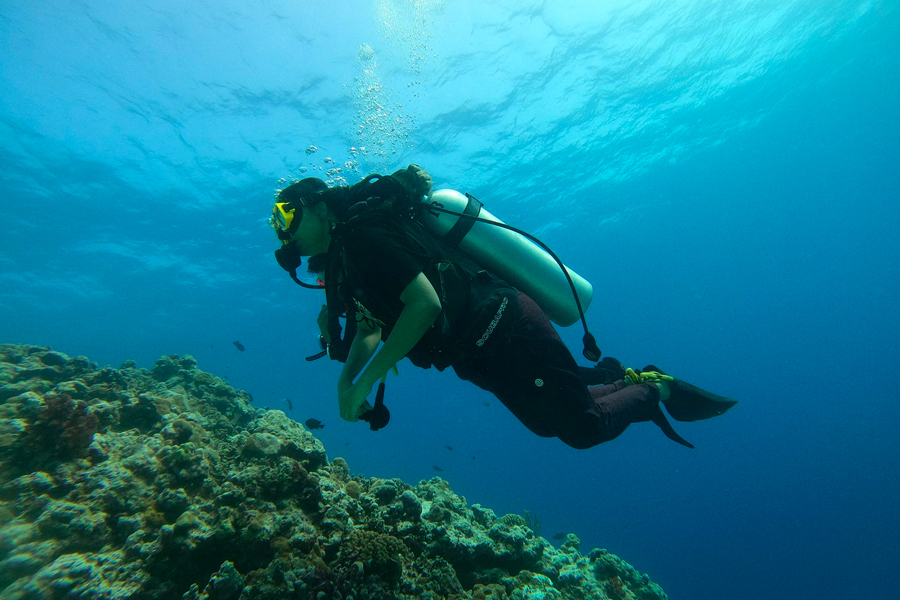 Scuba Diving and Snorkeling Exploring the Underwater Splendors