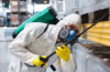 Why Licensing and Insurance Matter for Pest Control