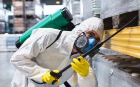 Why Licensing and Insurance Matter for Pest Control
