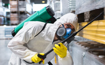 Why Licensing and Insurance Matter for Pest Control