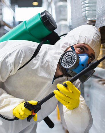 Why Licensing and Insurance Matter for Pest Control