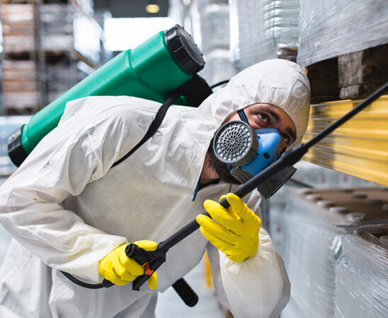 Why Licensing and Insurance Matter for Pest Control