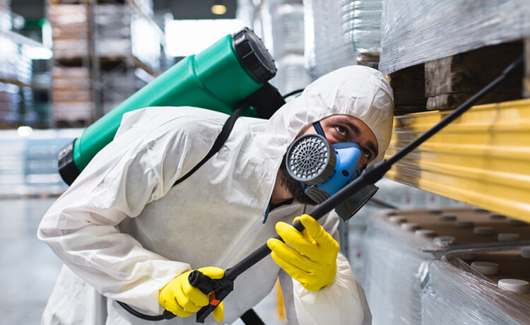 Why Licensing and Insurance Matter for Pest Control